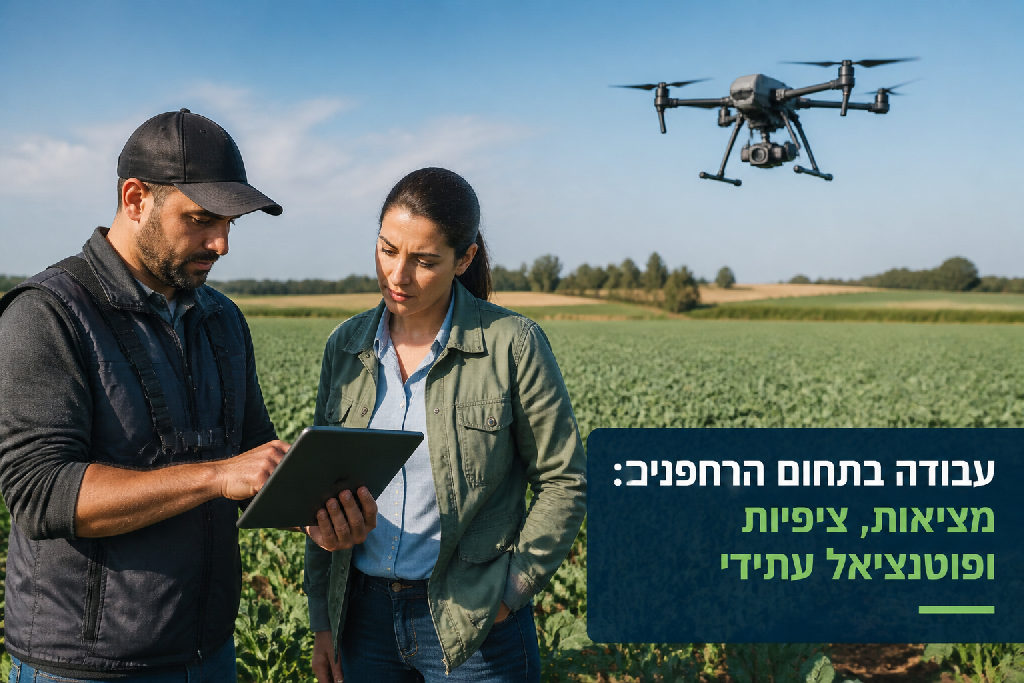 עבודה בתחום הרחפנים: מציאות, ציפיות ופוטנציאל עתידי