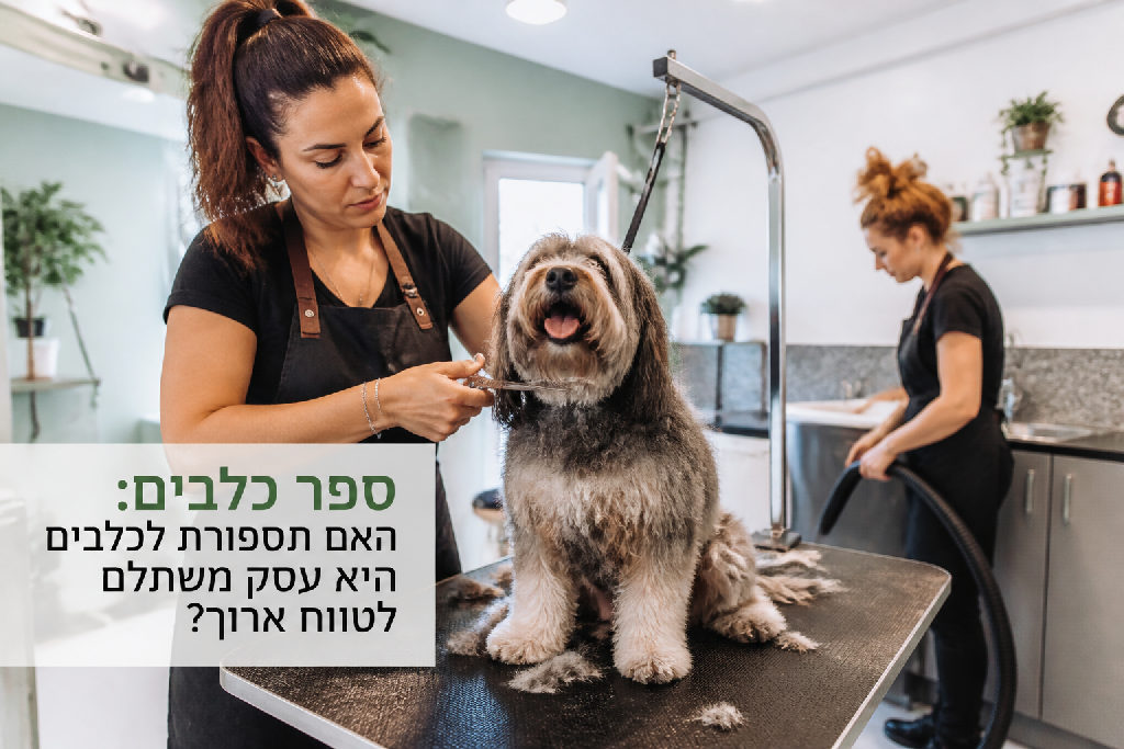 ספר כלבים: האם תספורת לכלבים היא עסק משתלם לטווח ארוך?